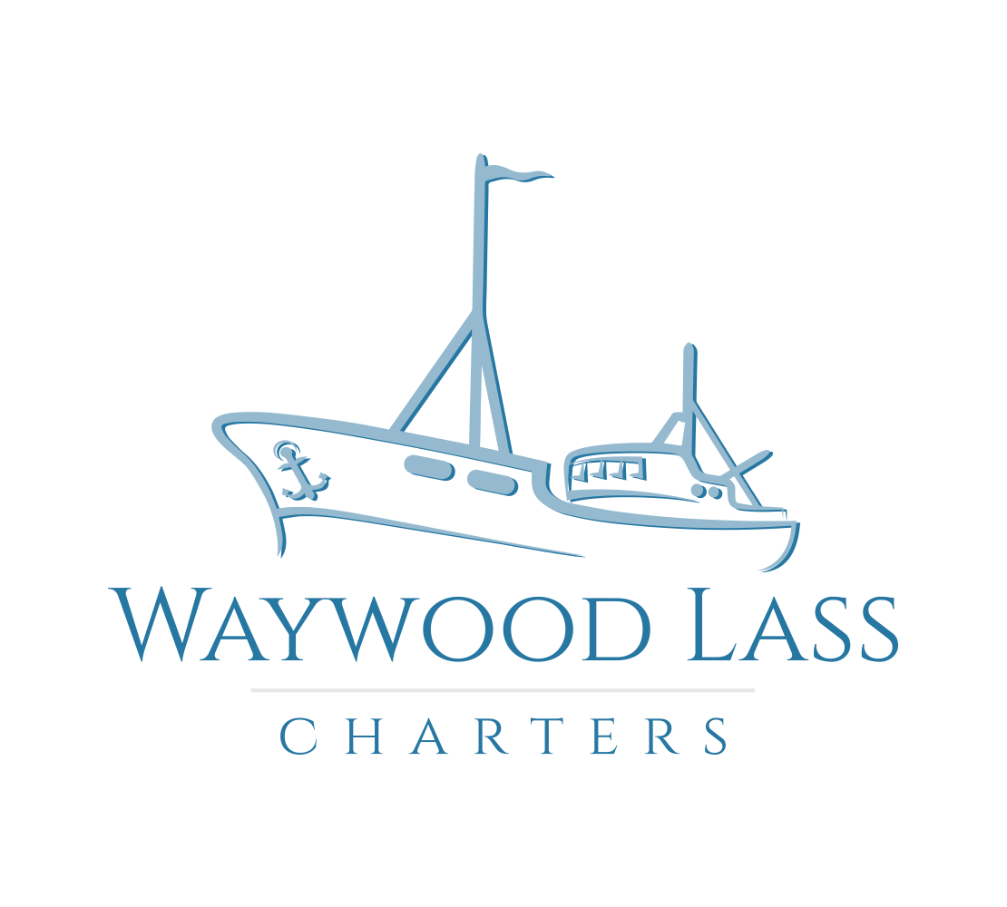 Waywood Lass Charters